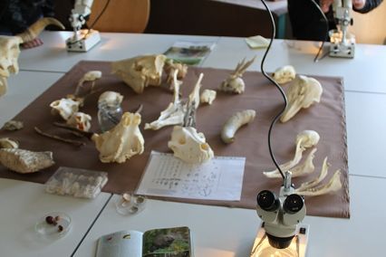 k-CIG_IMG008_0001.jpg