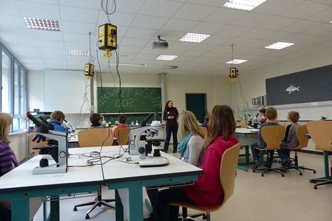 k-P1000970.JPG