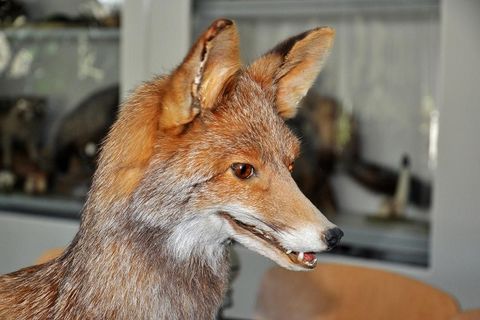 k-DSC_2702_0001.JPG