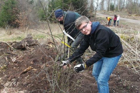 Baumprojekt_-_Florian_pflanzt_den_Wildapfel.jpg