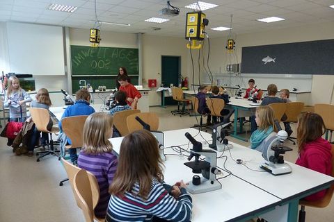 k-P1000968.JPG